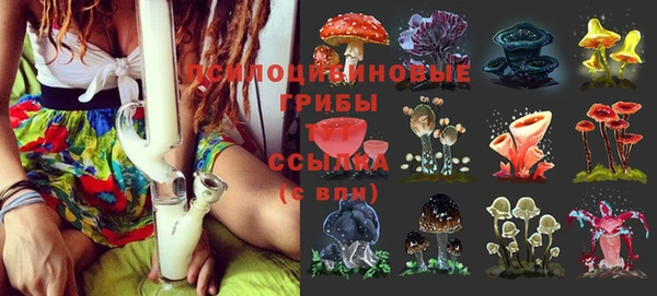 сатива Алексин