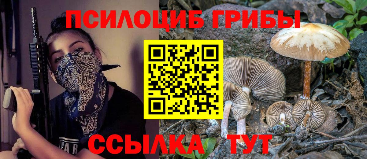 Шуя  Псилоцибиновые грибы GOLDEN TEACHER  Вход с VPN 