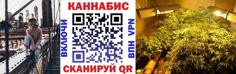 Бошки Шишки гибрид  даркнет формула  Шуя 